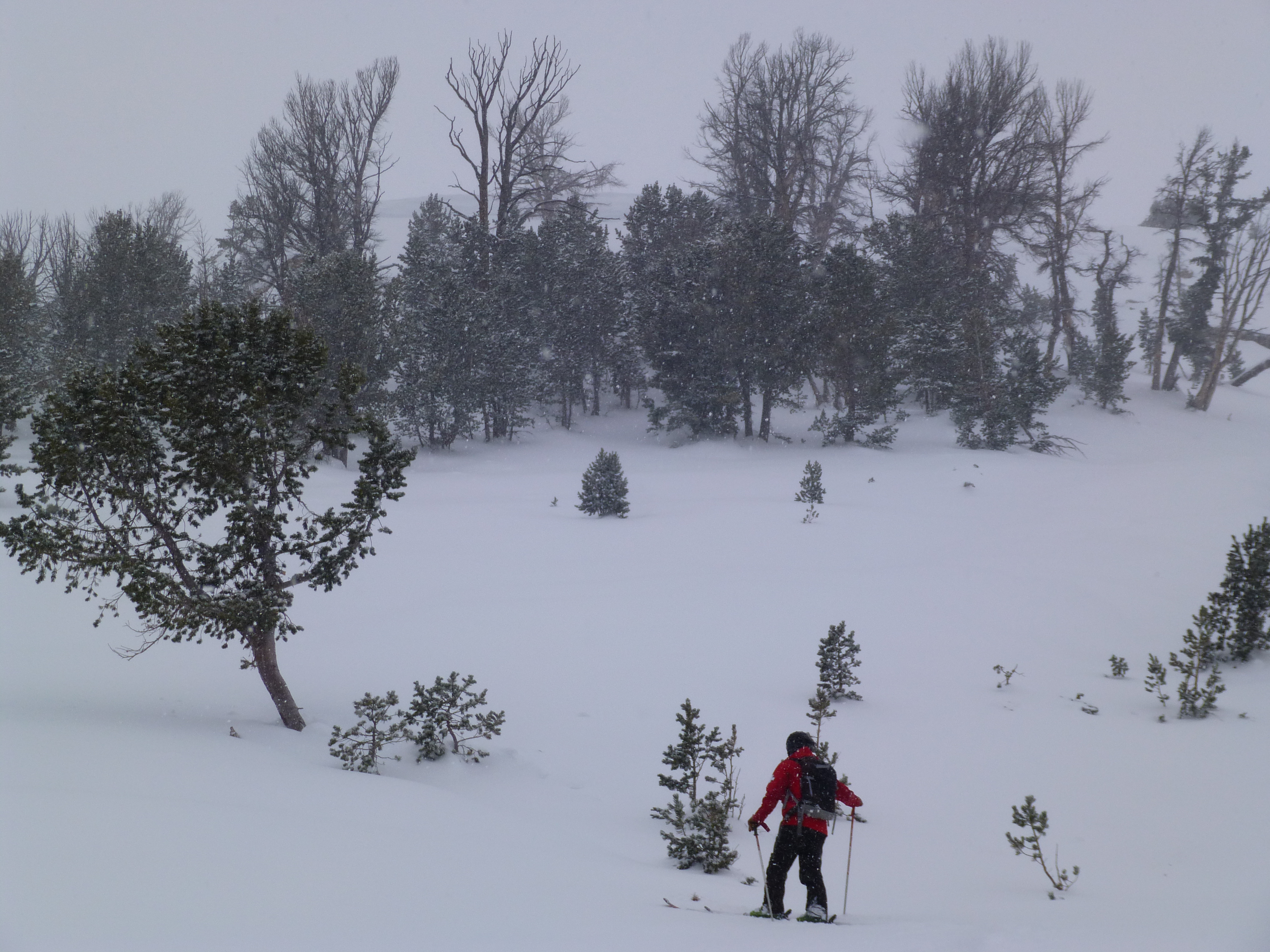 Location of partially buried skier