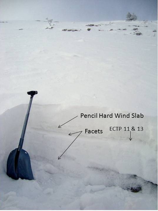 Football Field Snowpack - Bridger Range