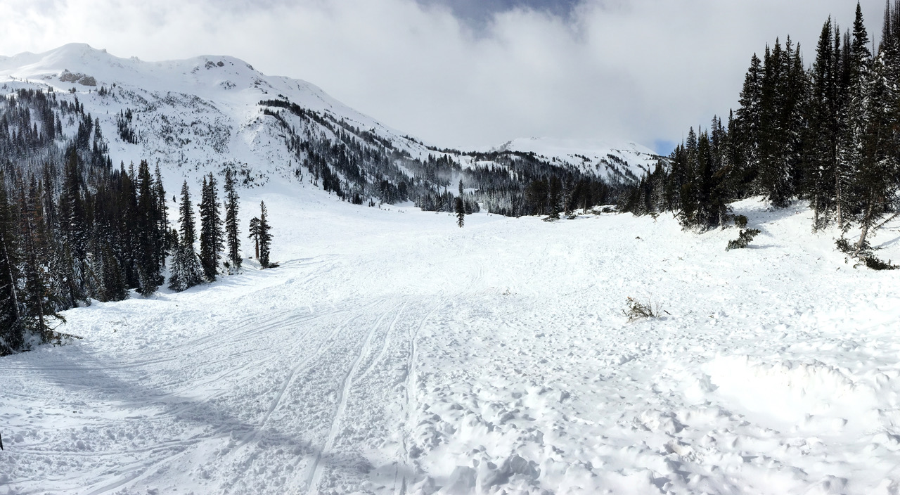 Historic Avalanche on Henderson Mtn. over Lulu pass road