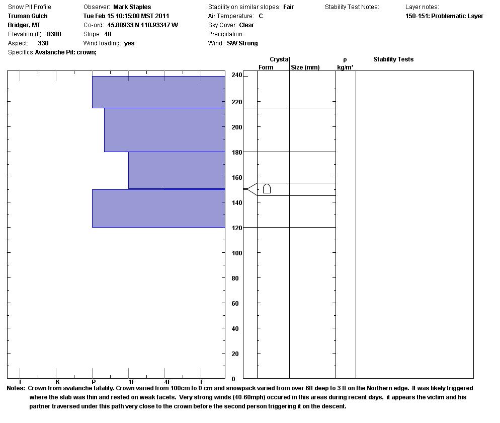 Truman Gulch Snowpit Profile