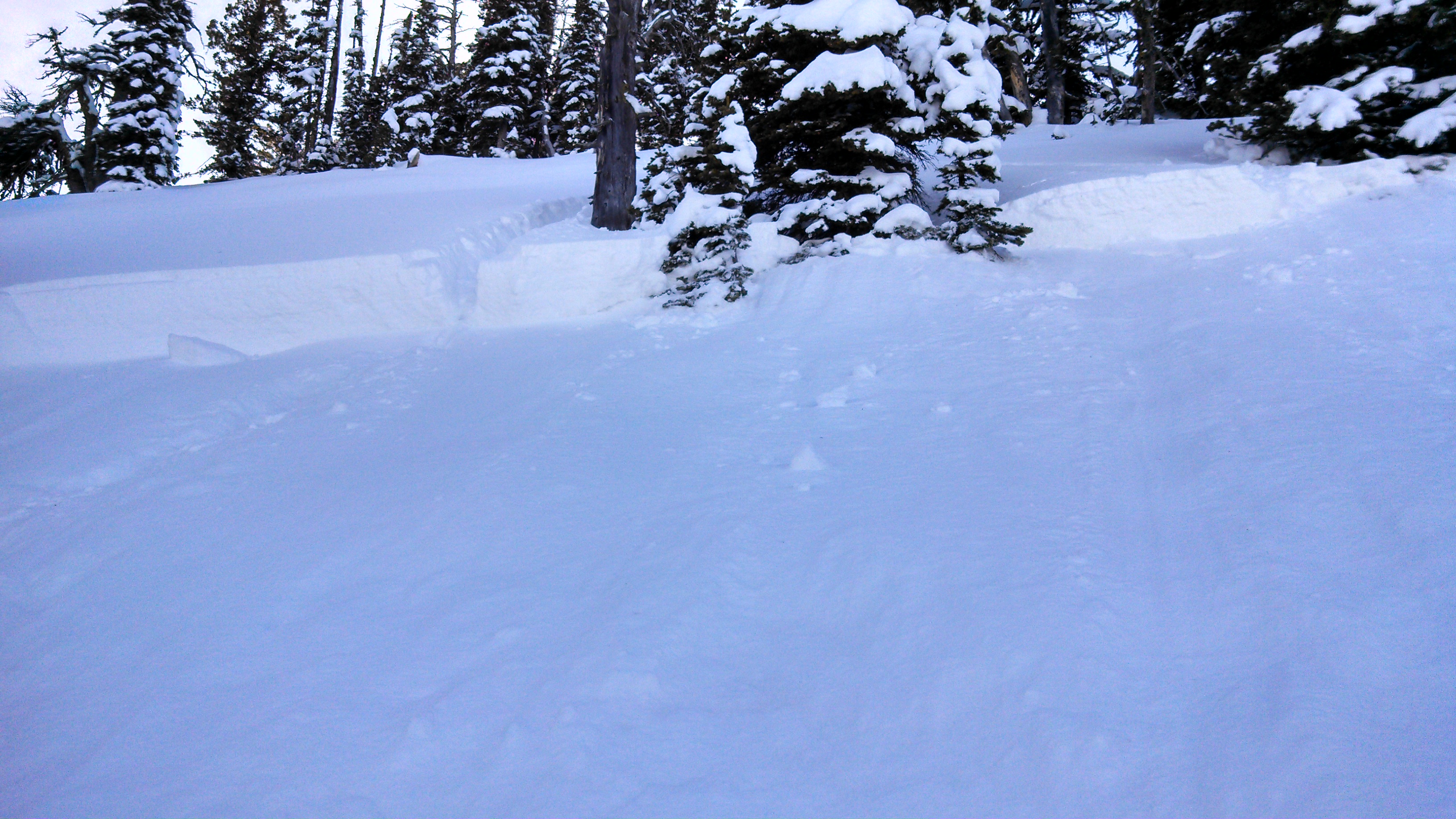 Mt Ellis Avalanche Crown