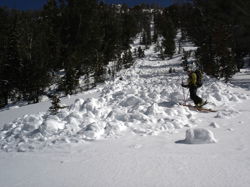 Wet Loose Avalanche Debris - Beehive Basin