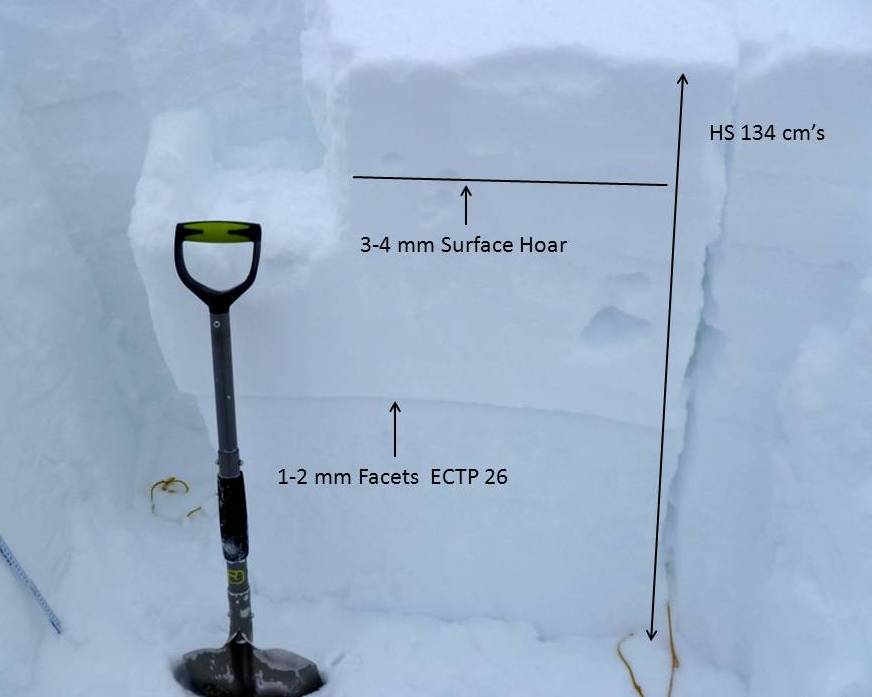 Yellow Mountain Snowpack North Facing - 2-17-13