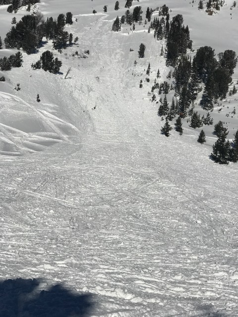 Avalanche on Sheep Mtn. near Cooke