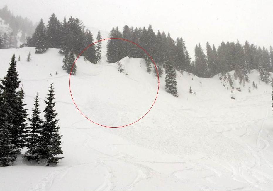 New snow avalanche Mt Backmore - 3/29/14