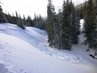 Avalanche off the Beehive Basin Trail