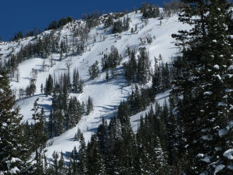 Human Triggered Avalanches - Beehive Basin